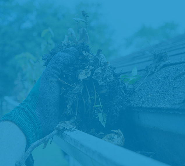 Gutter Cleaning in Edmonton AB