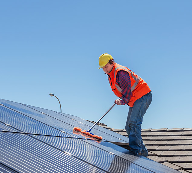 solar panel cleaning service