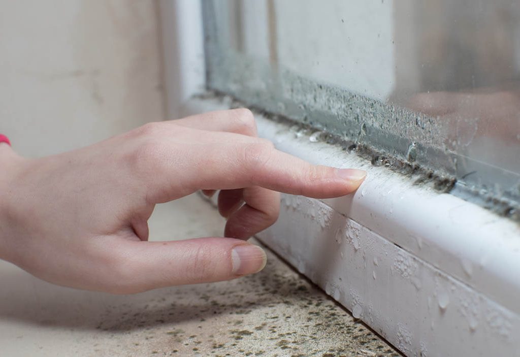 How to Get Rid of Mold On Window Sills