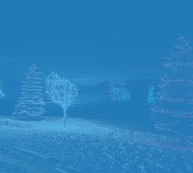 Christmas light installationbg