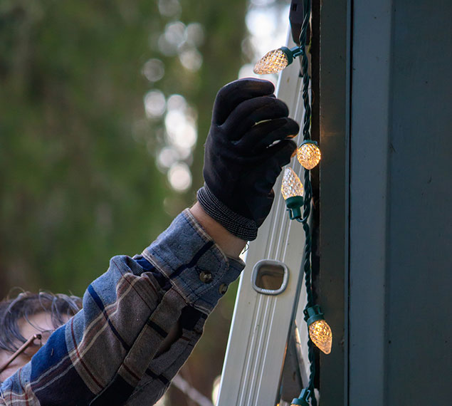 Christmas Lights Removal Services