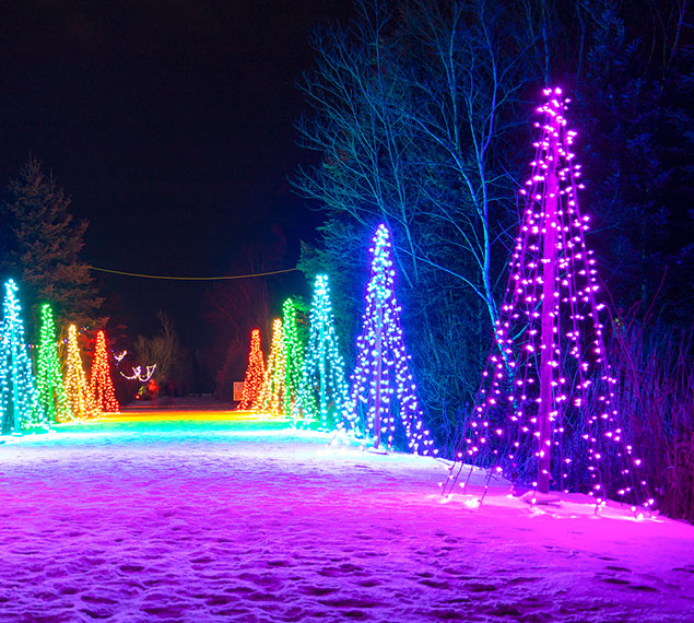 Landscape Lighting