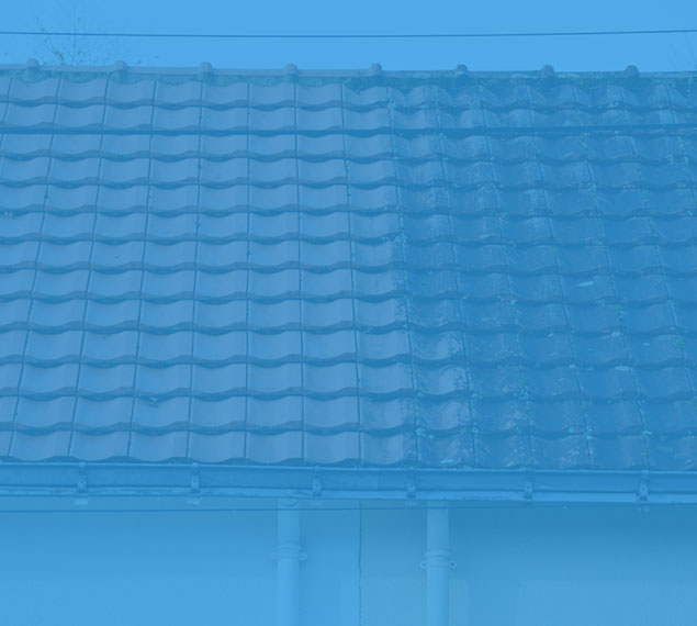 roof and gutter cleaning 