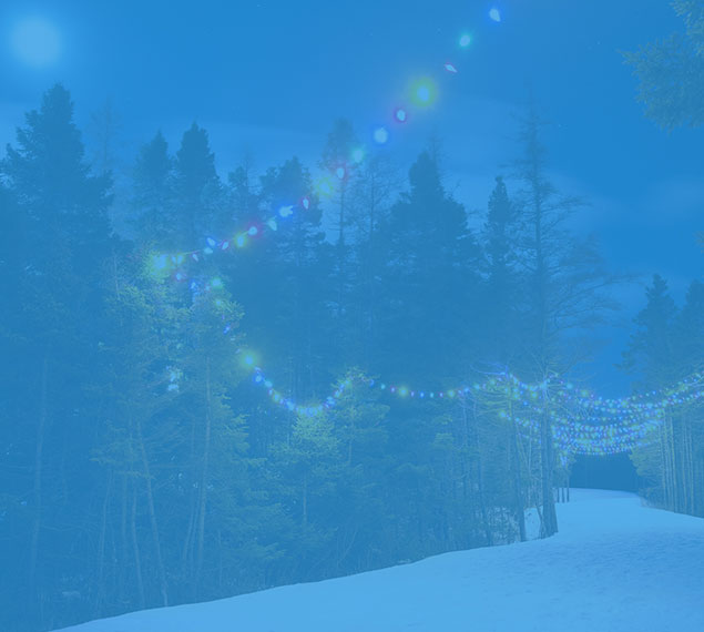 Xmas Lights Installation