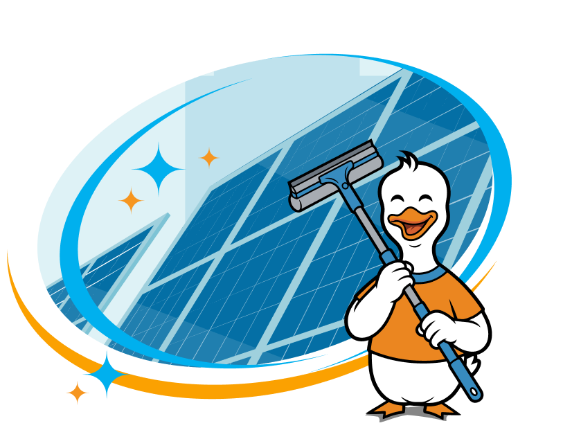 Professional solar panel maintenance